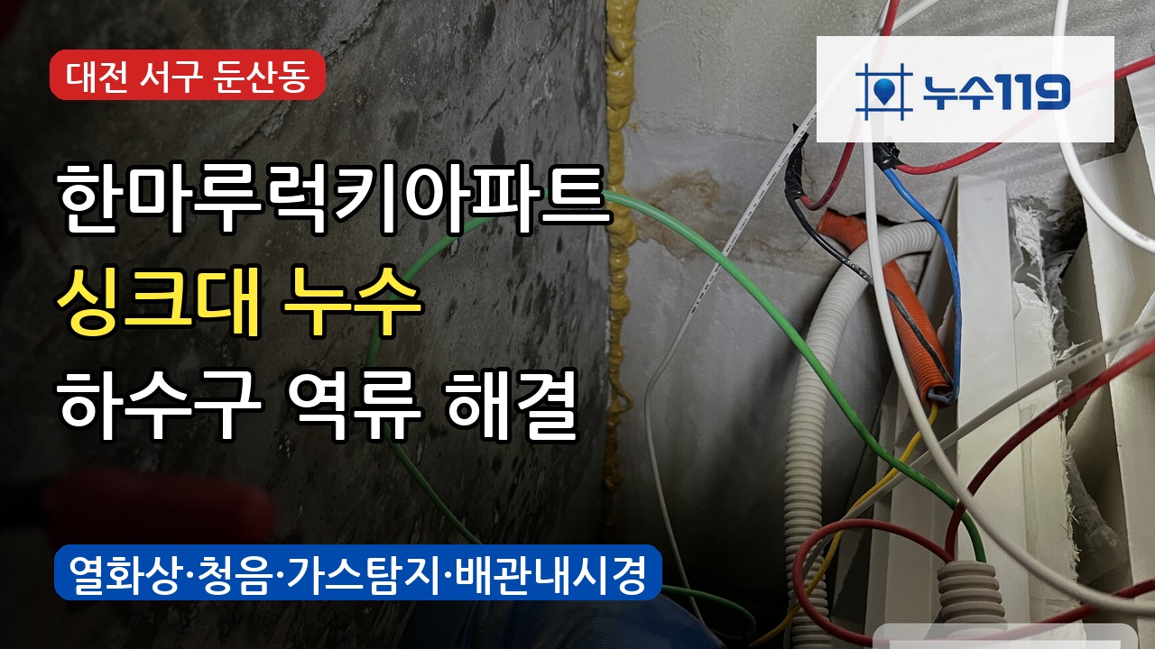 대전 둔산동 한마루럭키아파트 싱크대 누수 하수구 역류 해결 사례