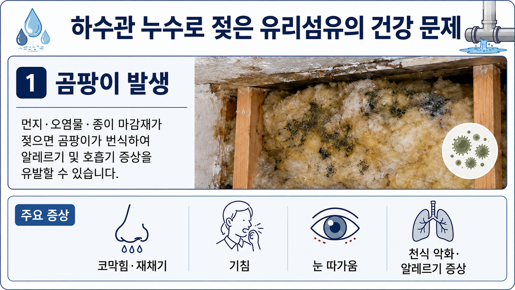 하수관 누수로 젖은 유리섬유 곰팡이 건강 문제